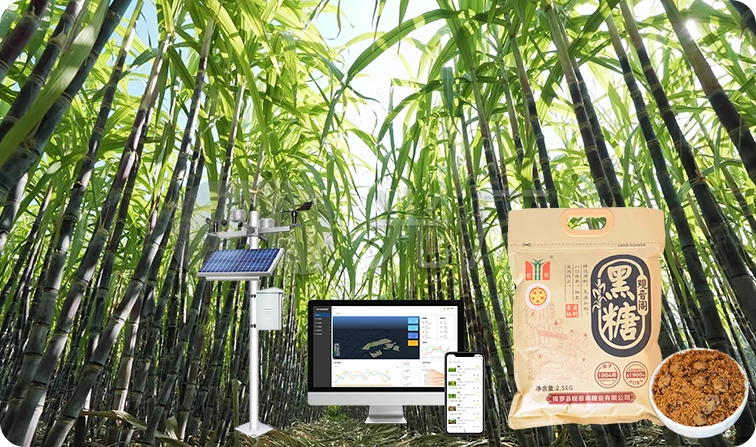 农业数字管理软件真实案例广东博罗县观音阁黑糖