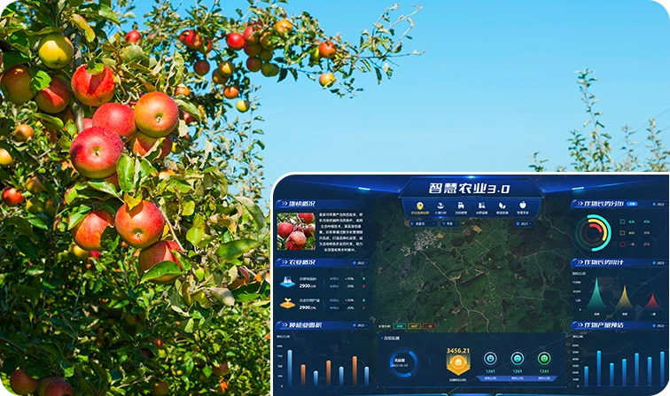 农业数字管理软件真实案例陕北延安梁家河苹果