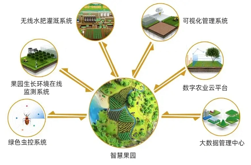 农业数字管理软件地头交易管理示意图