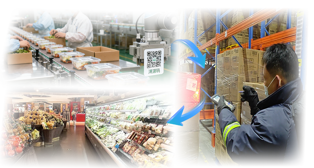 冷库内仓管人员通过wms系统进行扫码追踪溯源